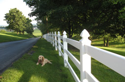 Fence project by L & J Pool, Fence & Deck Company